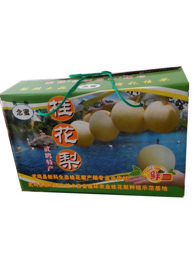 水果彩印禮盒