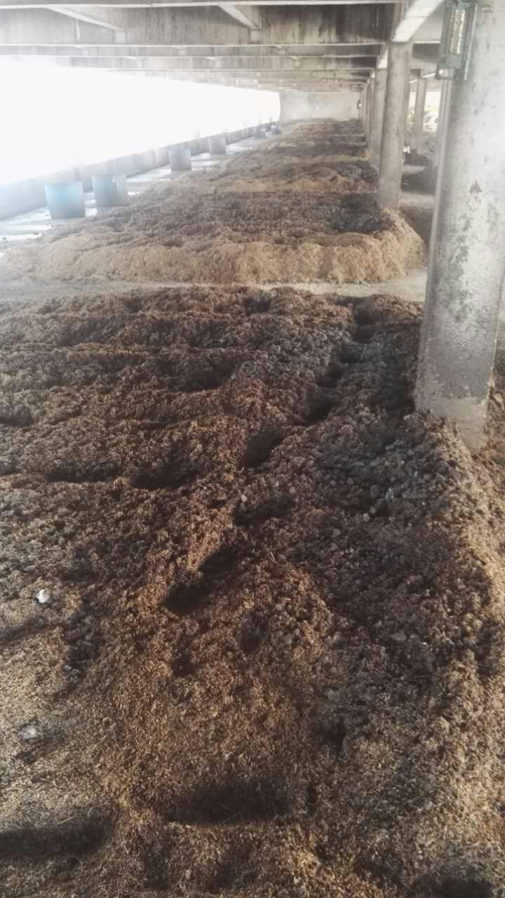 物料准备