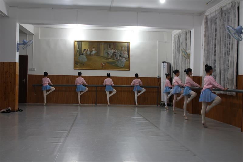 兴宁区四级芭蕾舞培训班