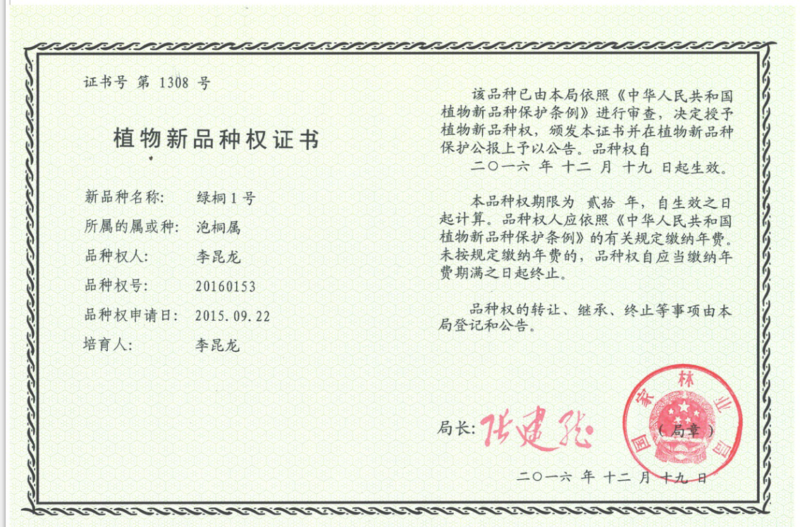 绿桐1号 植物新品种权证书