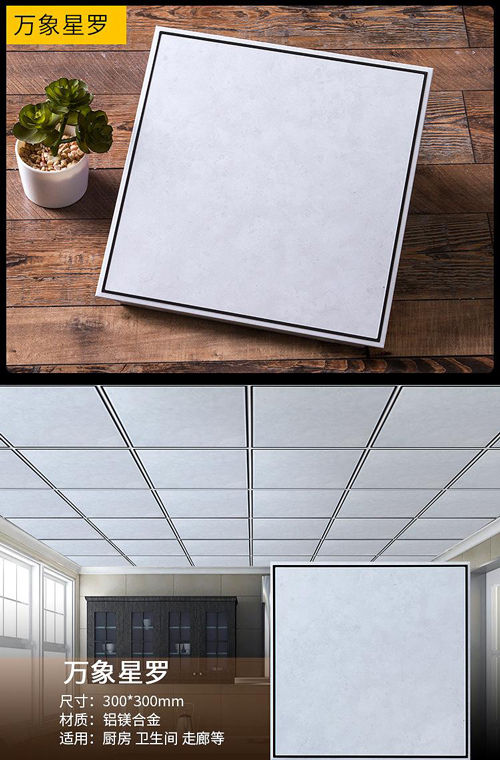 aluminium-ceiling13.jpg