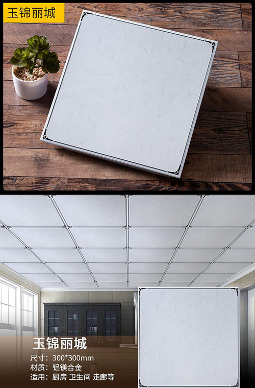 aluminium-ceiling14.jpg