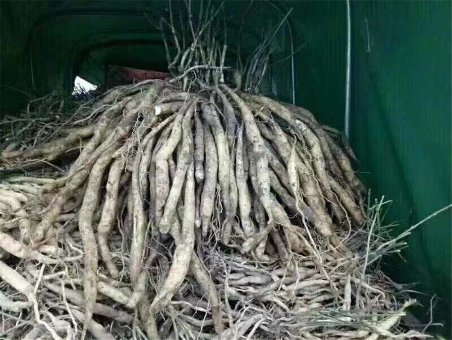 百部成品