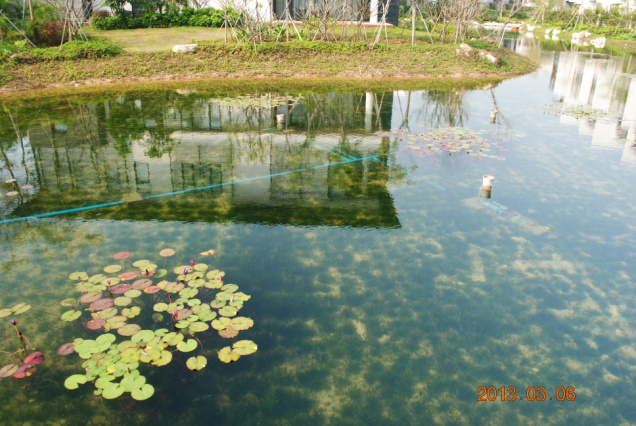 珠海市华发水郡人工湖水生态修复工程