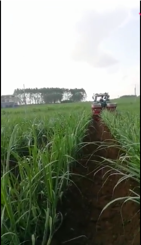 甘蔗施肥培土機