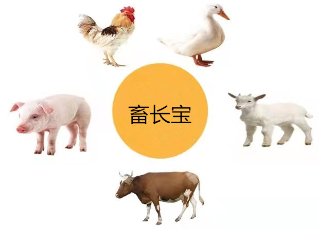 畜长宝